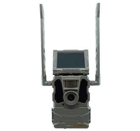 spy camera for bird box