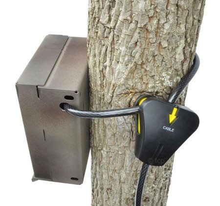 Lock up your game | trail camera with the Master Lock Python Cable