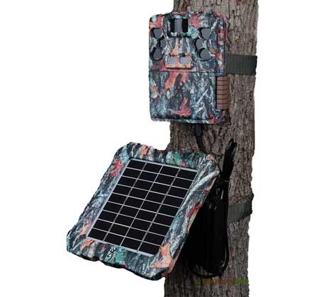 Browning trail camera solar panel on tree width="450" height="420"