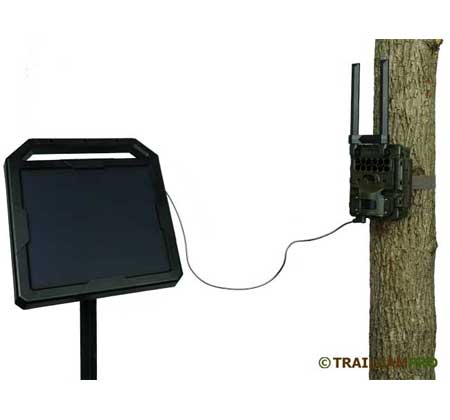 Reconyx Solar panel for trail camera width="450" height="420"