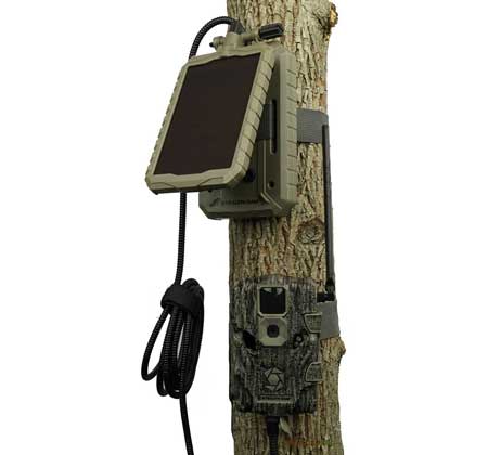 stealth cam solar panel with battery on tree width="450" height="420"