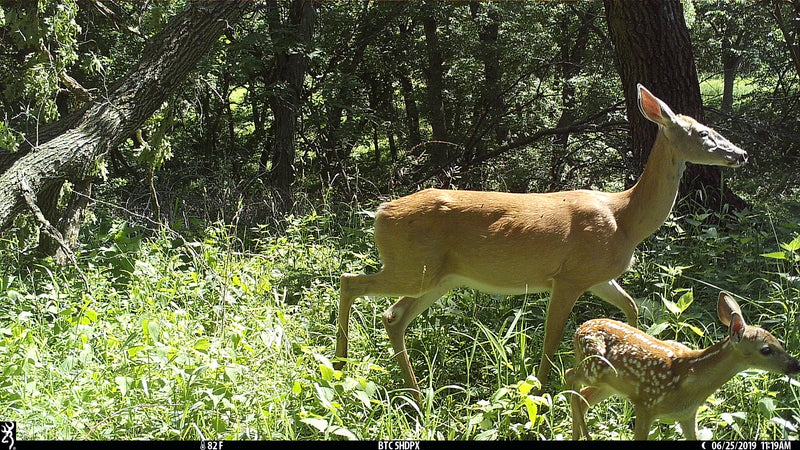 top rated game cameras