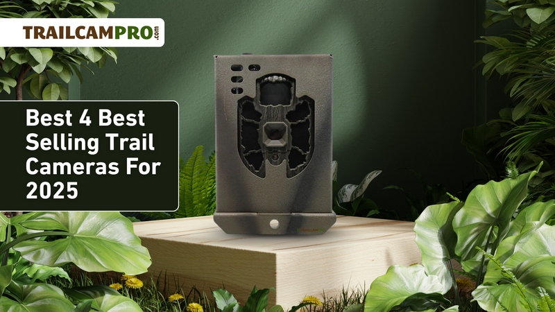 Best 4 Best Selling Trail Cameras For 2025