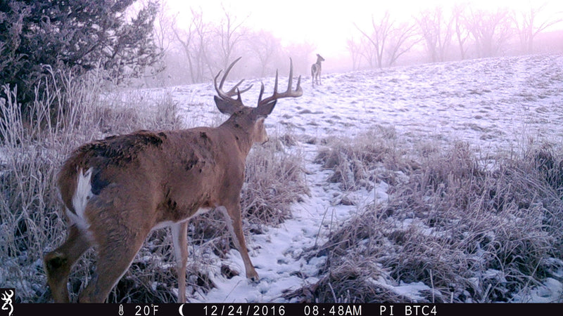 Year in Review | Browning Trail Cameras