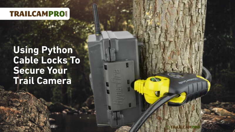 Using Python Cable Locks To Secure Your Trail Camera