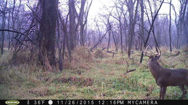 Year in Review | Moultrie Game Cameras