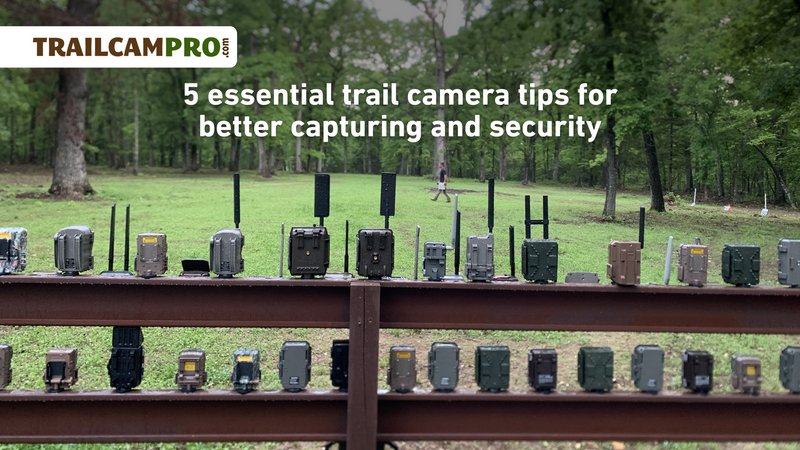 Choose the right trail camera for the job