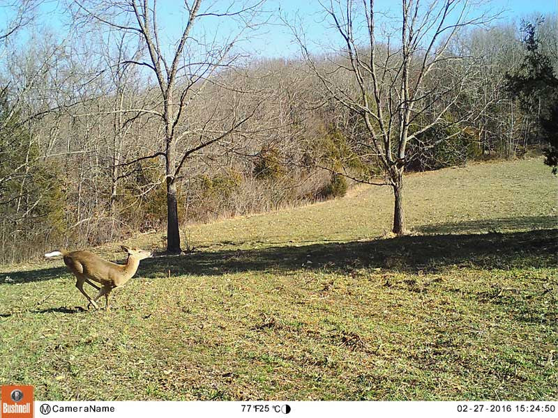 2016 Bushnell Essential E2 Trail Camera