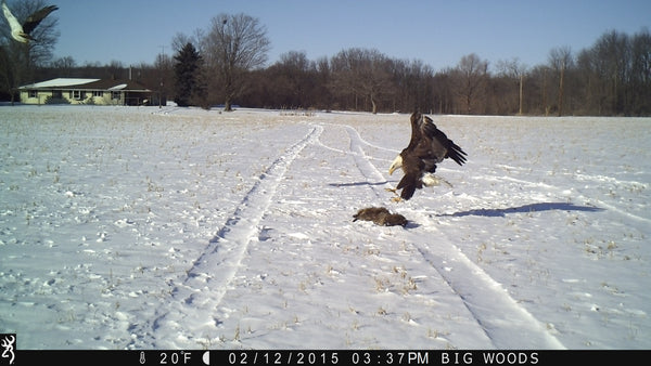 Game Camera Video Battery Life