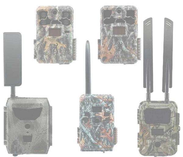 The Top Trail Cameras in 2021 for Wildlife and Security