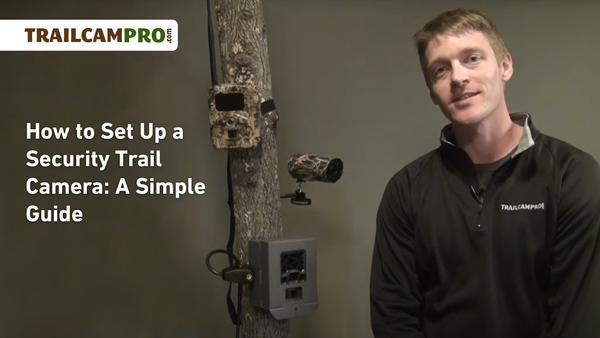 How to Set Up a Security Trail Camera: A Simple Guide