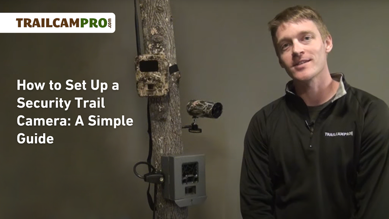How to Set Up a Security Trail Camera: A Simple Guide
