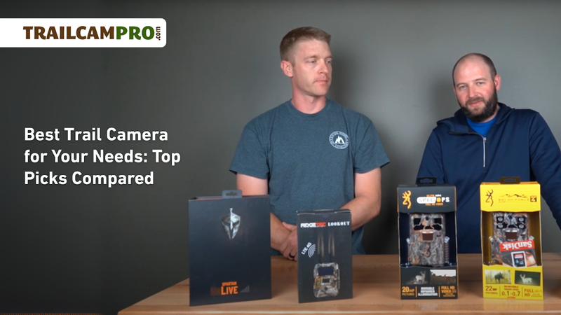 Best Trail Camera for Your Needs: Top Picks Compared