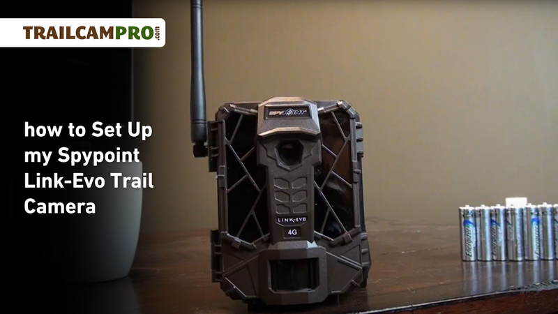 how to Set Up my Spypoint Link-Evo Trail Camera