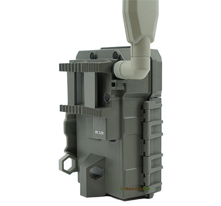 Spypoint LM2 (Cellular)