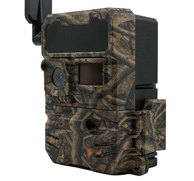 Step-by-step guide: how to aim trail camera correctly