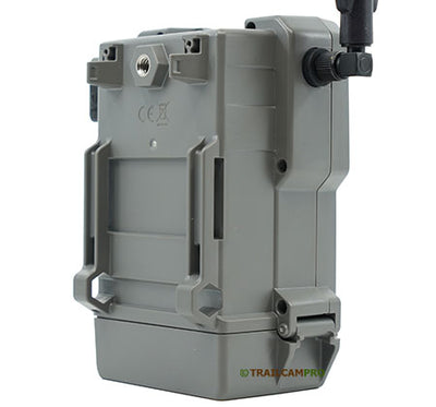 Spypoint Flex Dark (Cellular)