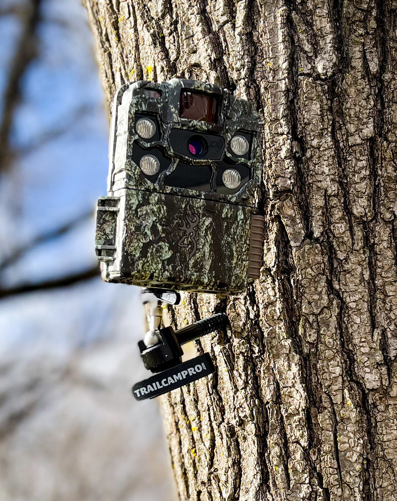 Game on sale trail cameras