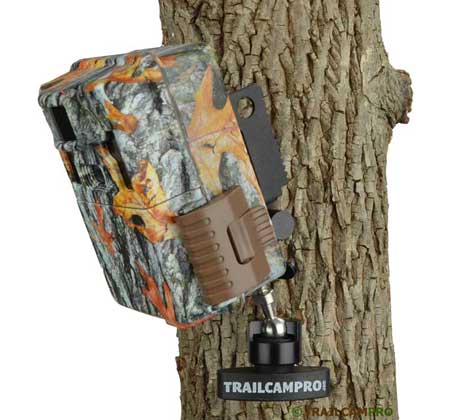 Slate River Stealth Mount on Tree