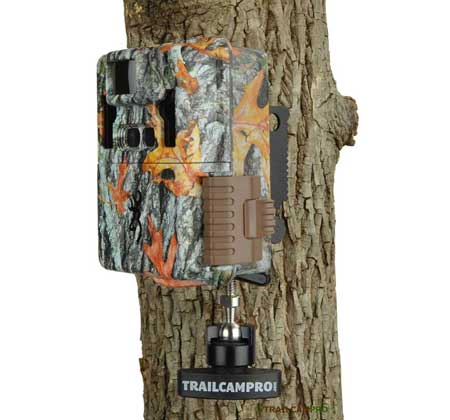 Slate River Stealth Mount on Tree