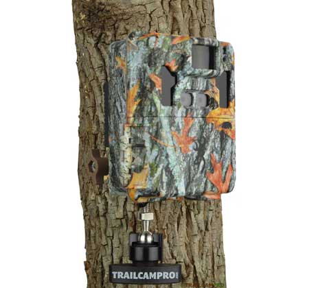 Slate River Stealth Mount on Tree