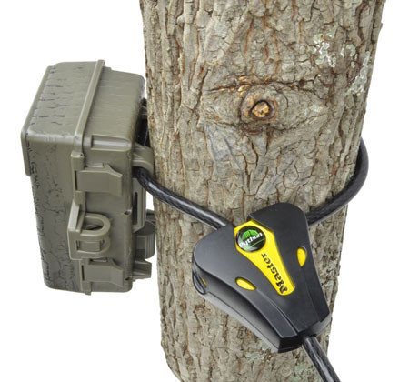 Master Python Cable Lock | Trail Camera Lock | Trailcampro