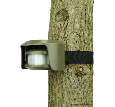 Buck Alert Motion Detector