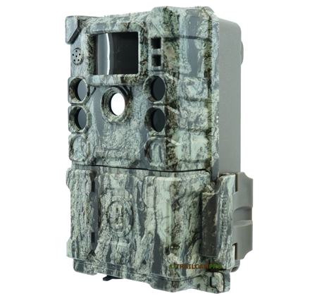 Bushnell Sd Bushnell Core S-4K No Glow Trail Camera Review | Trailcampro