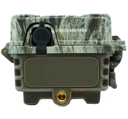 Bushnell Sd Bushnell Core S-4K No Glow Trail Camera Review | Trailcampro
