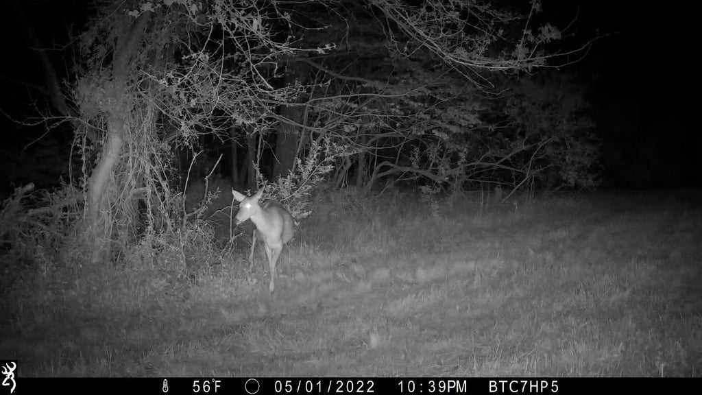Browning Recon Force Elite HP5 Trail Camera Review