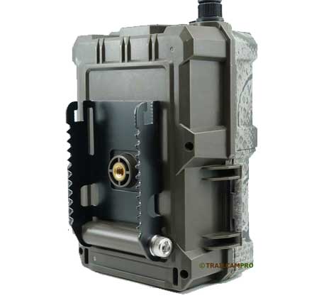 Spartan GoLive 2