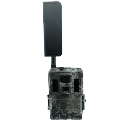 Spartan GoLive 2