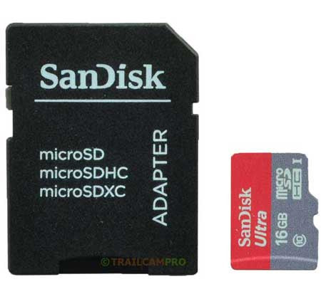 Sandisk 16 Gig Micro SD Card
