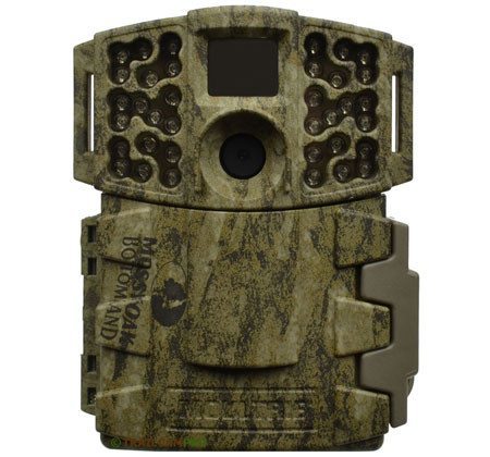 moultrie no glow trail camera